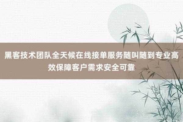 黑客技术团队全天候在线接单服务随叫随到专业高效保障客户需求安全可靠