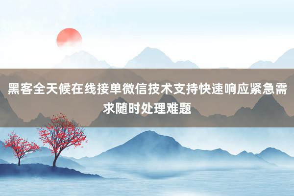 黑客全天候在线接单微信技术支持快速响应紧急需求随时处理难题